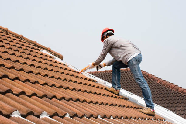 Steel Roofing in Galatia, IL